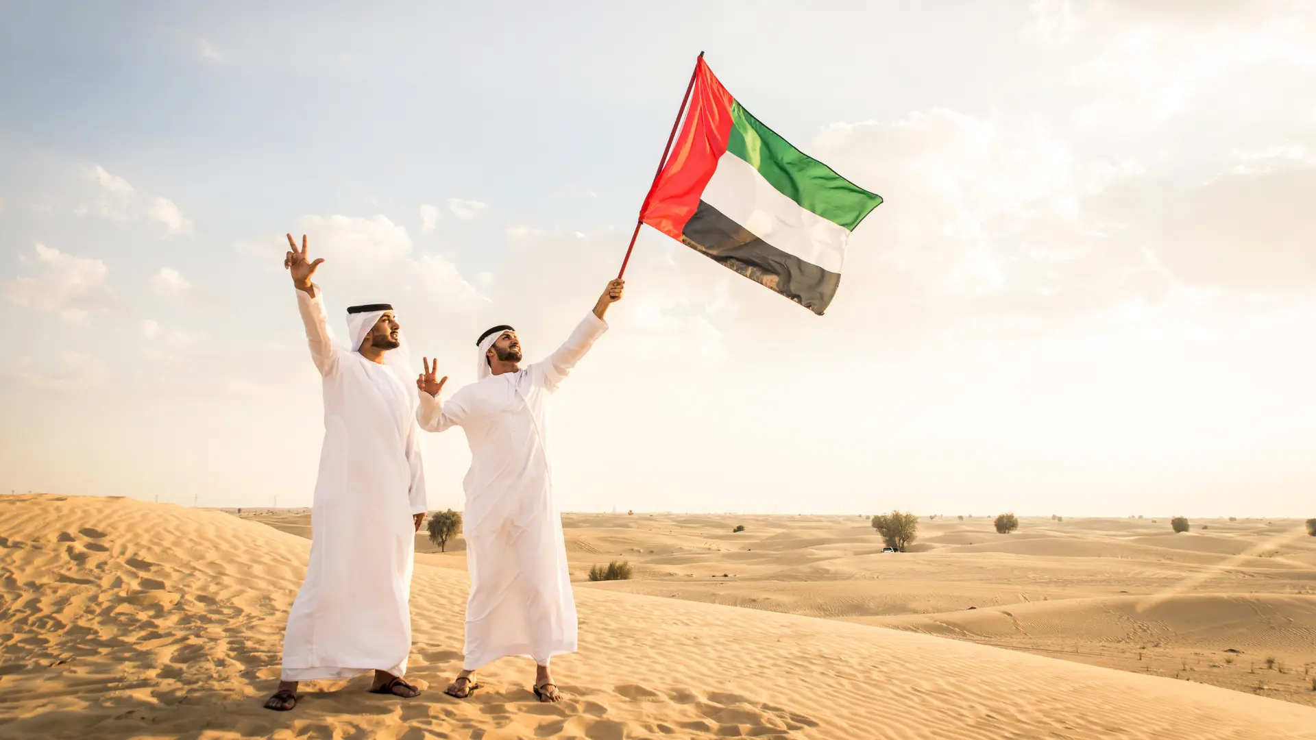 ОАЭ (Объединенные Арабские Эмираты)